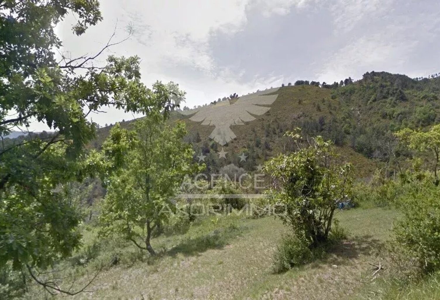 Terrain Cuébris (La Bastide) — photo 1