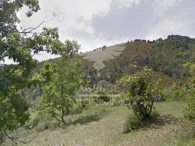 Terrain Cuébris (La Bastide) — photo du bien