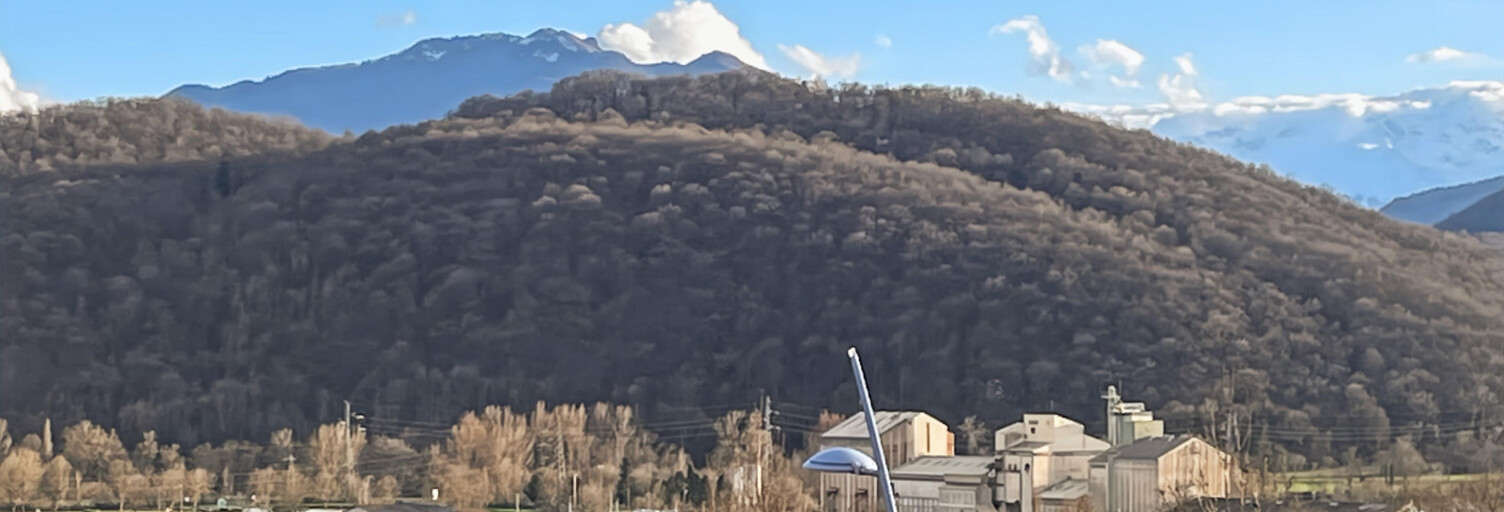 Photo N° 2
