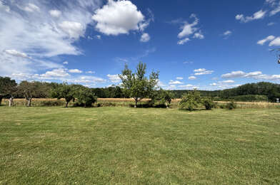 Terrain  96000 €