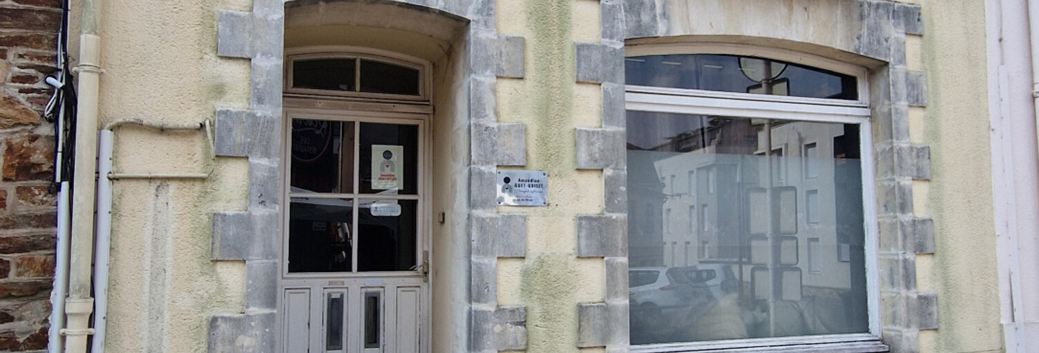 Appartement 3 Pièces 100 m² à vendre à Le Loroux-Bottereau (44430)