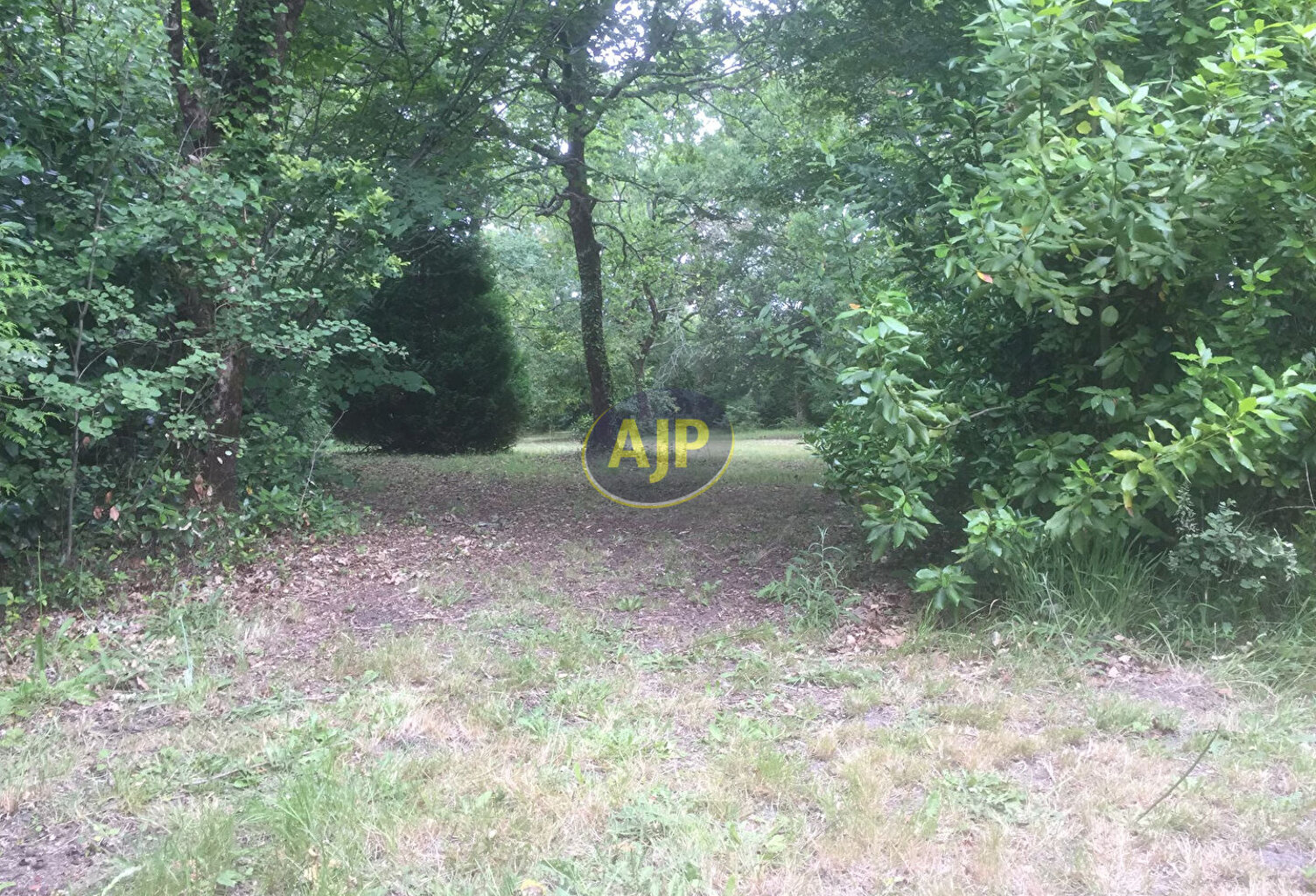 Terrain constructible, SAINT-VIVIEN-DE-MEDOC — photo 1