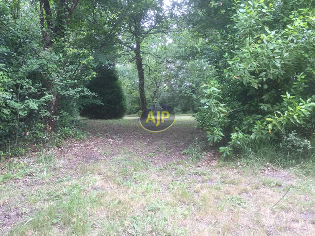Terrain constructible, SAINT-VIVIEN-DE-MEDOC — photo du bien
