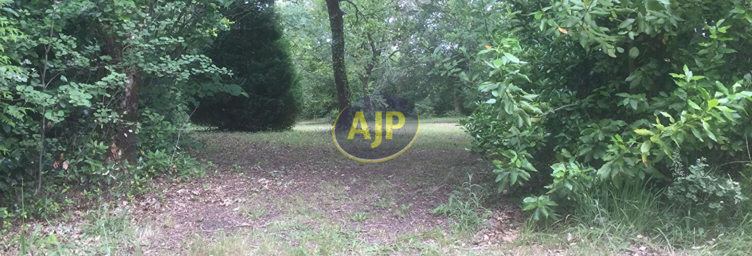 Terrain  4095 m² à vendre à Saint-Vivien-de-Médoc (33590)