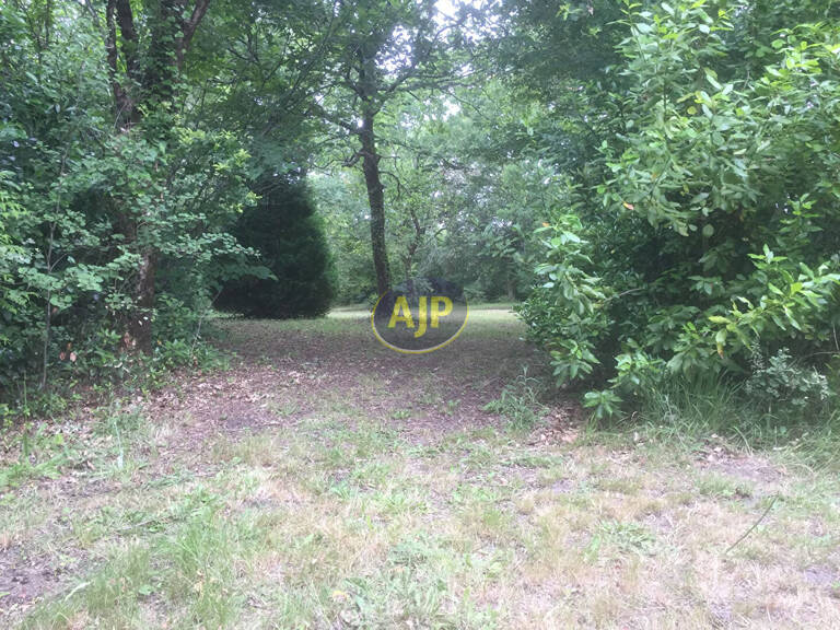 Terrain constructible, SAINT-VIVIEN-DE-MEDOC — photo 1