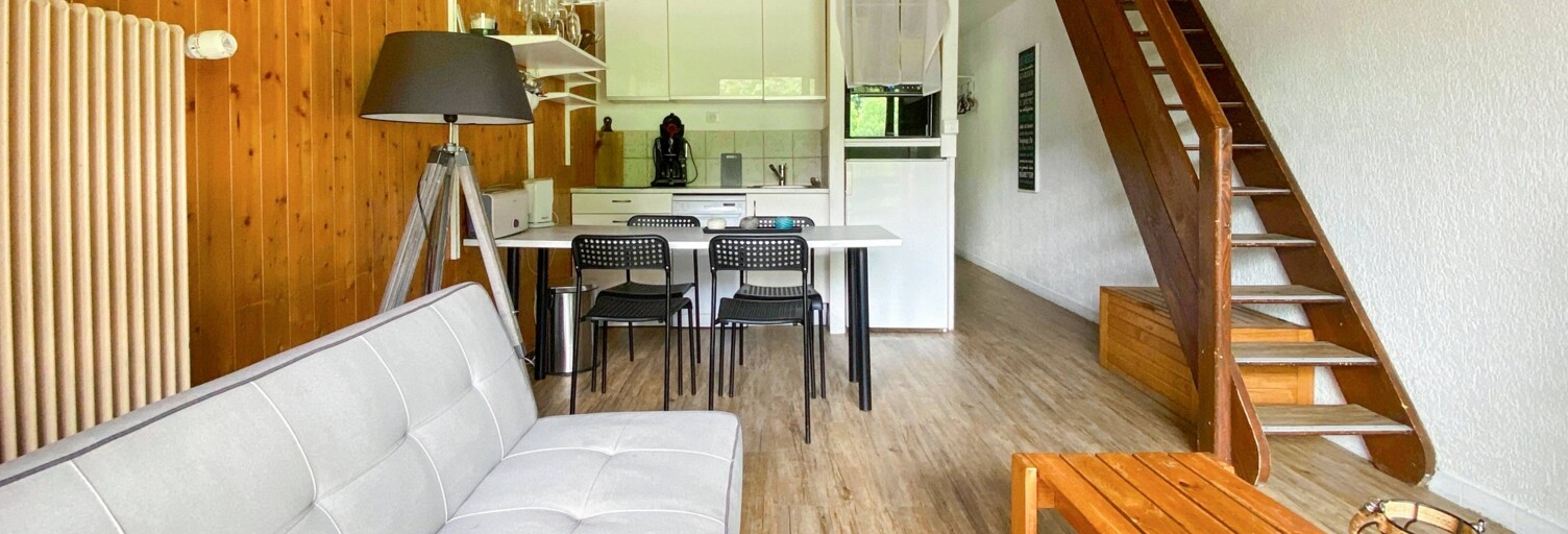 Appartement 4 Pièces 45 m² à vendre à Châtel (74390)