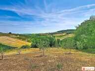 BLACÉ  PROPRIÉTÉ RARE, SUR PRÈS DE 14 HECTARES, VUE PANORAMIQUE À 180° — photo 4