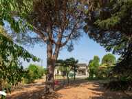 Villa de 4 pièces principales — photo 2