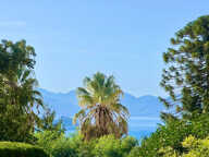 CANNES BASSE CALIFORNIE VILLA T6 INDIVIDUELLE 405M2VUE MER C — photo 4