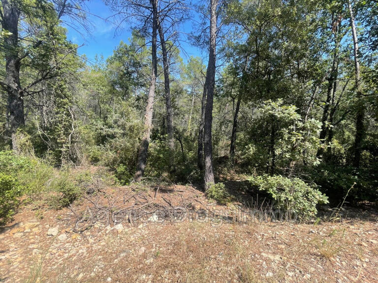 vente terrain non constructible — photo 1