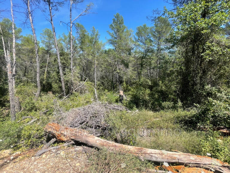 vente terrain non constructible — photo 1