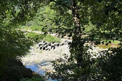 property.type.service  172000 €