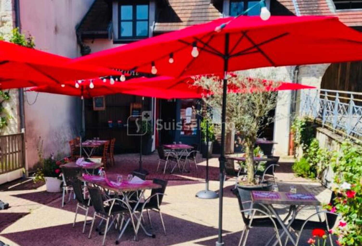 Fonds de commerce restaurant / terrasse/cave — photo 1
