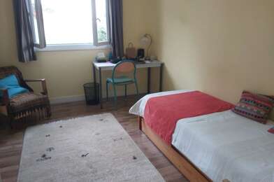 Appartement 1 pièces 470 €