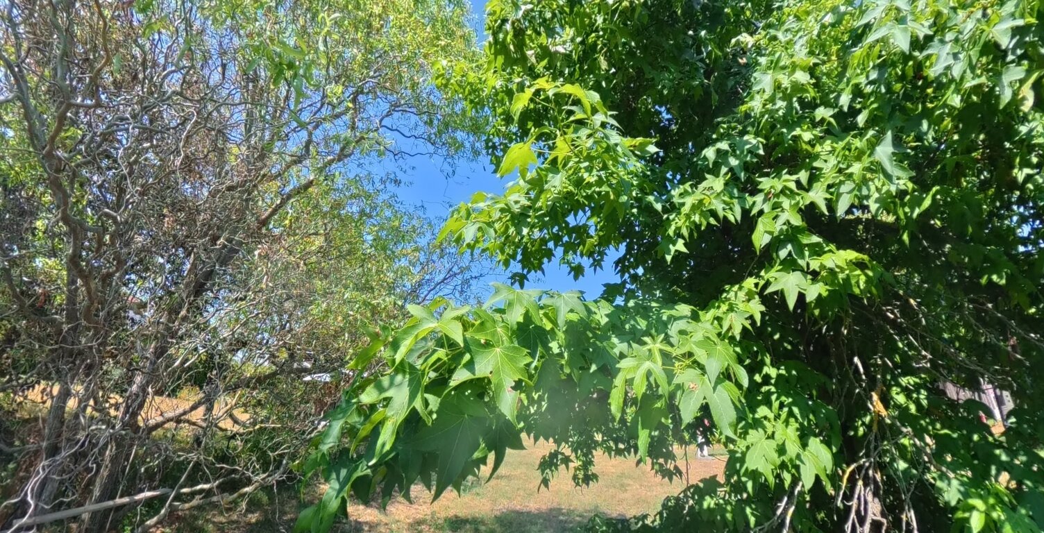 CHASSELAY (38470) – Terrain de 759 m² – Un cadre paisible pour donner vie à votre projet — photo 1
