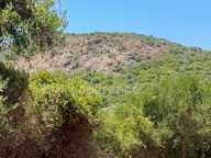 Terrain à vendre de 3 380 m² GALERIA (Corse) — photo 3