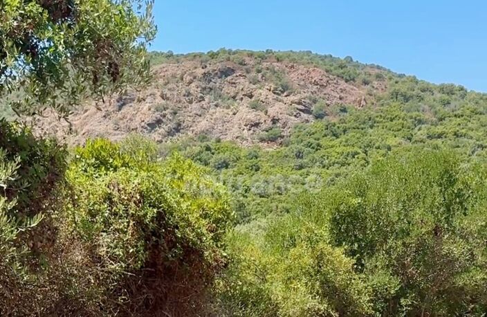 Terrain à vendre de 3 380 m² GALERIA (Corse) — photo 3