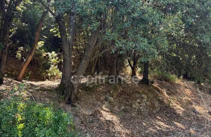 Terrain à vendre de 3 380 m² GALERIA (Corse) — photo 4