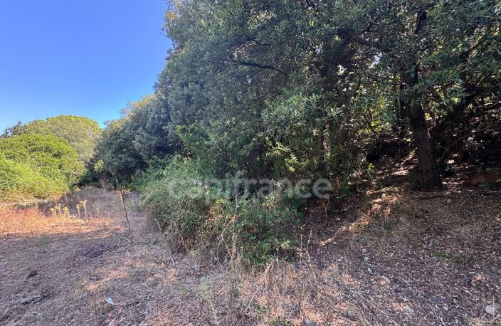 Terrain à vendre de 3 380 m² GALERIA (Corse) — photo 5