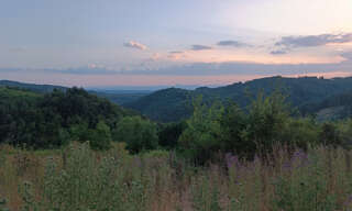 Photo N° 2