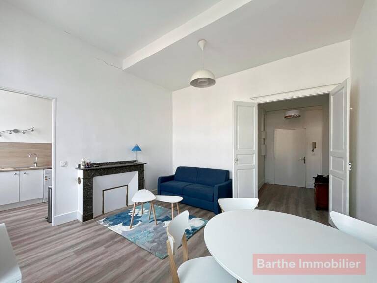 Gaillac hyper centre, T1Bis meublé rénové — photo 1