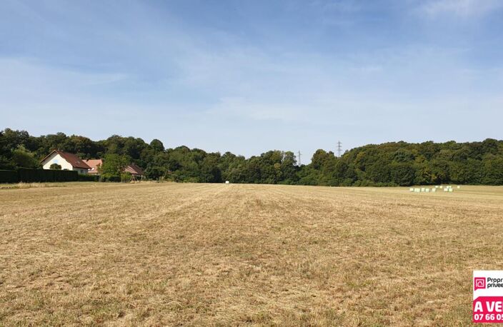 Terran de 503 m² — photo 2