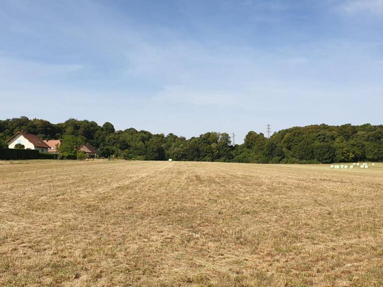 Terran de 503 m² — photo 1