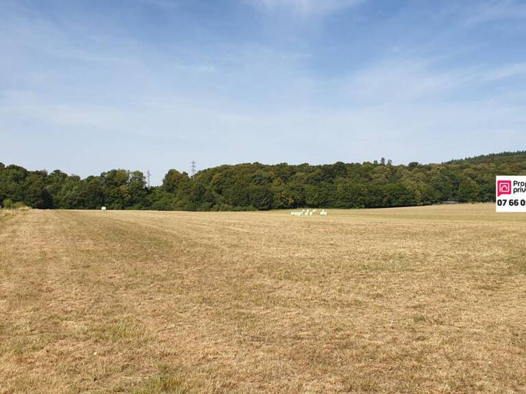 Terran de 503 m² — photo 1