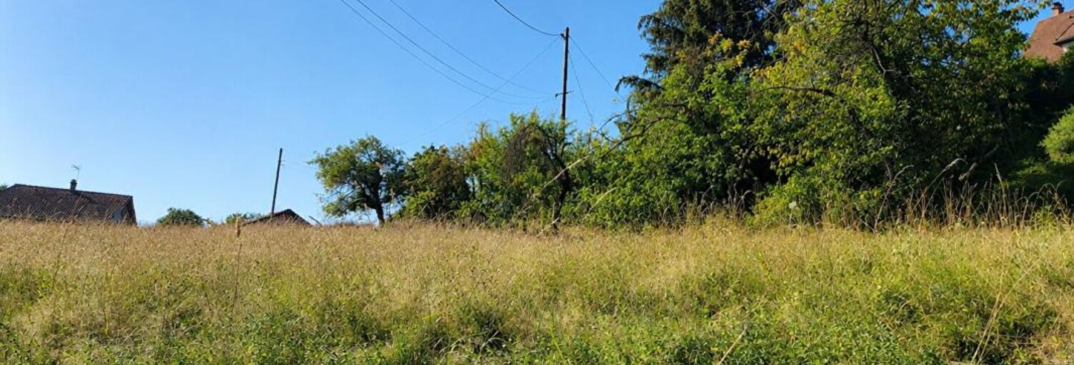 Terrain  458 m² à vendre à Gillonnay (38260)