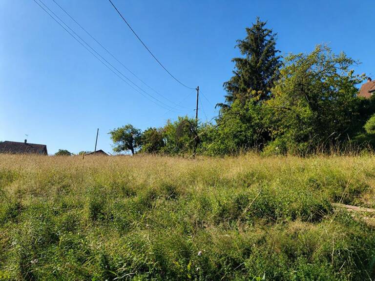 Terrain Gillonnay 458 m2 — photo 1