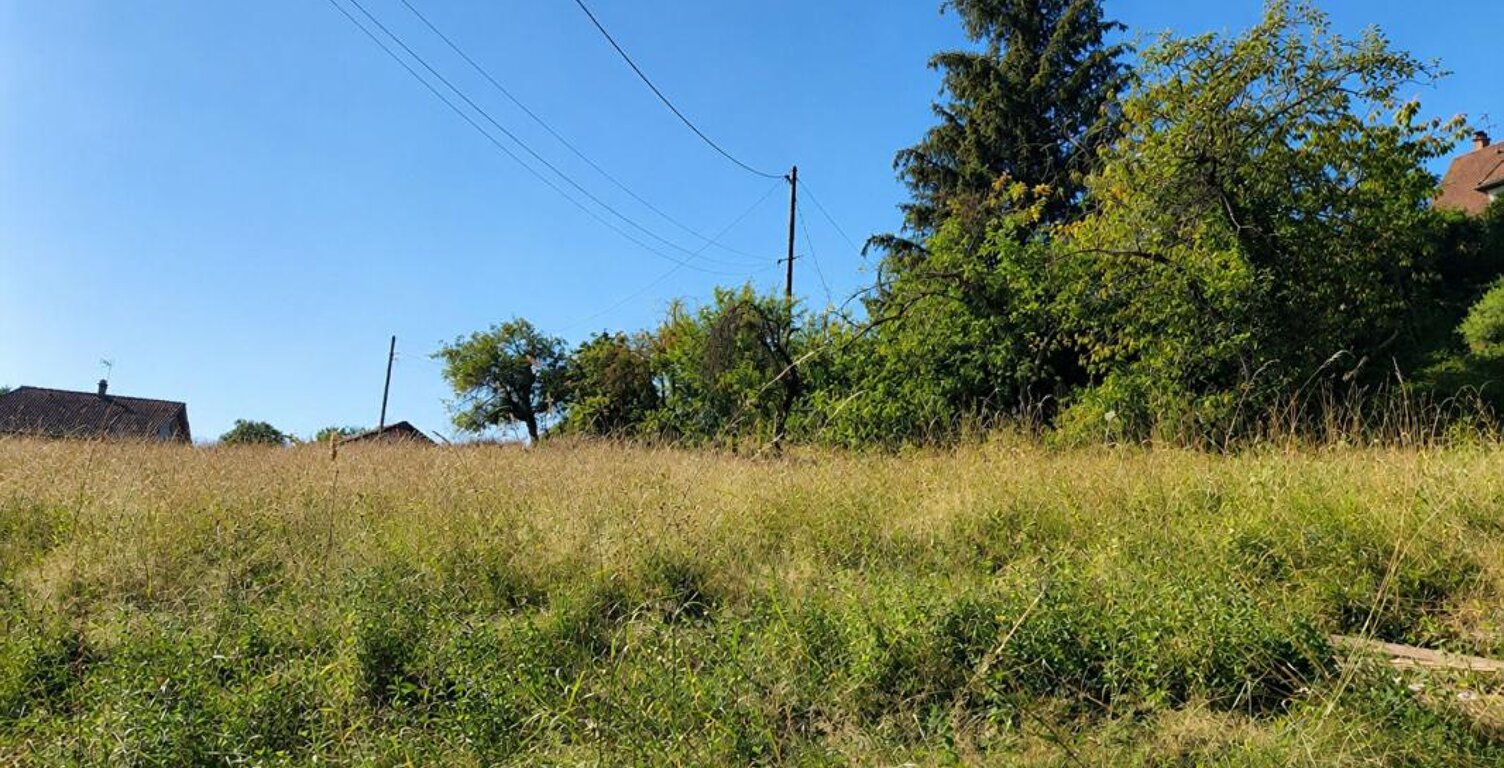 Terrain Gillonnay 458 m2 — photo 1