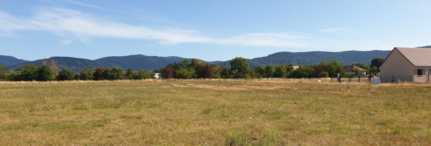 Terrain  2227 m² à vendre à Belfort (90000)