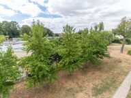 Appartement Bretigny Sur Orge 4 pièce(s) 70.01 m2 — photo 2