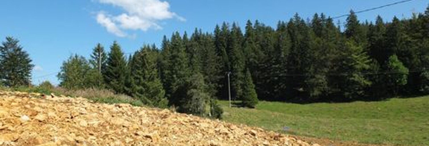 Terrain  559 m² à vendre à Prémanon (39220)