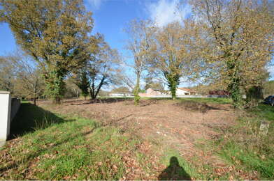 Terrain  43920 €