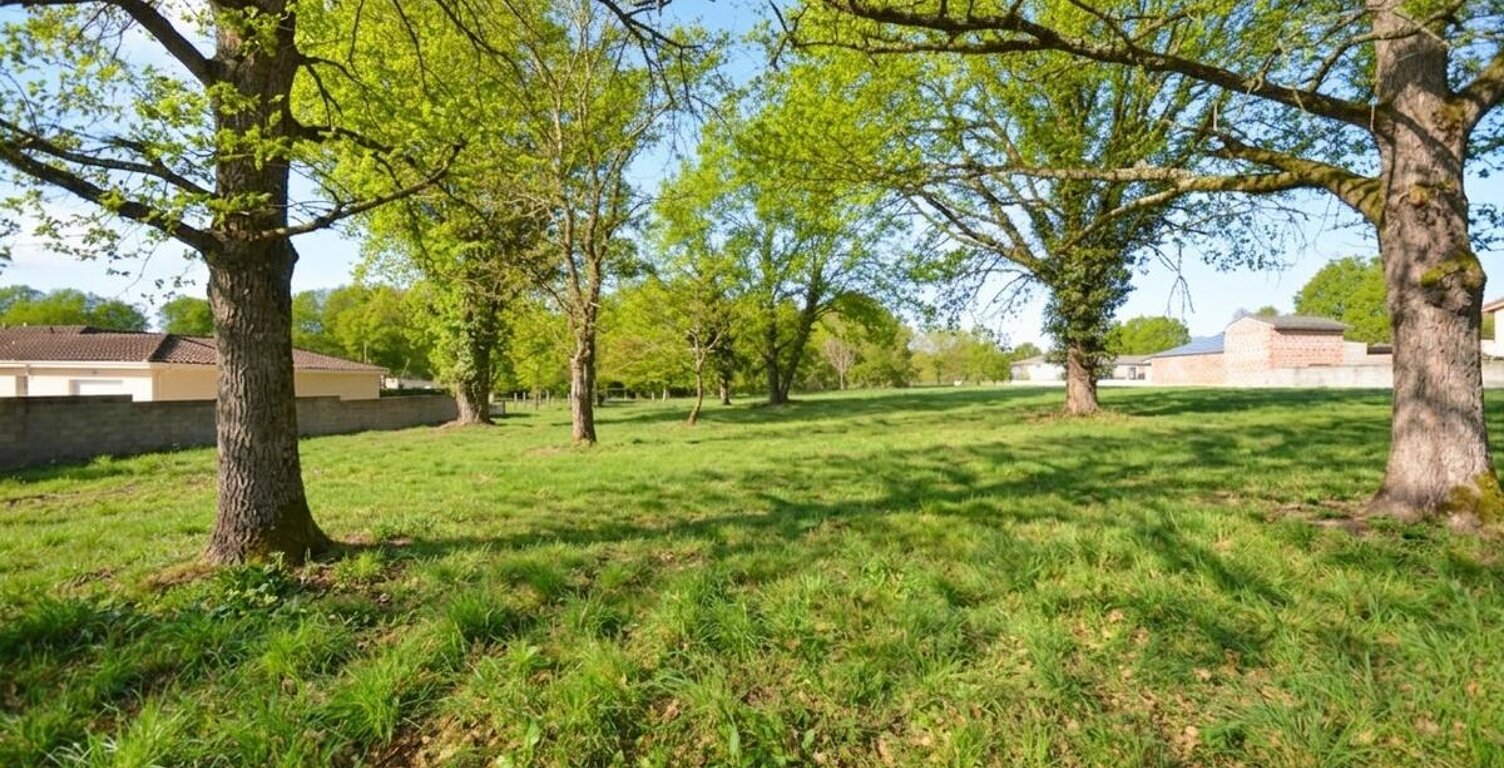 Terrain — photo 1