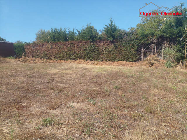 Terrain hors lotissement — photo du bien