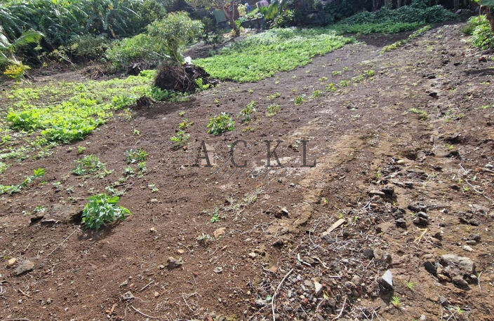 TERRAIN CONSTRUCTIBLE ET DIVISIBLE DE 762 M2 PETITE ILE 974 — photo 2