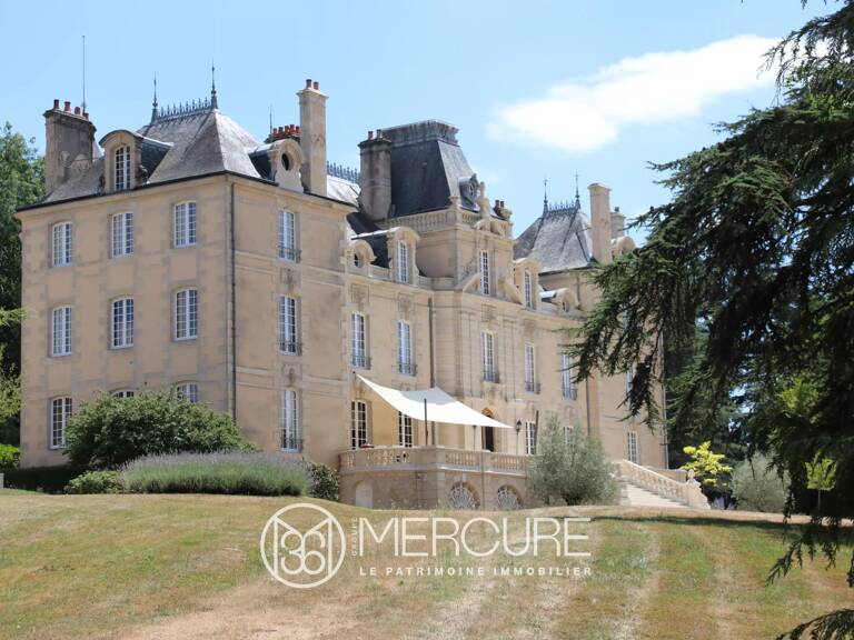 SUPERBE CHATEAU I.M.H. SUR 46 HECTARES — photo 1