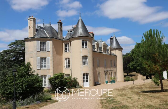 SUPERBE CHATEAU I.M.H. SUR 46 HECTARES — photo 2