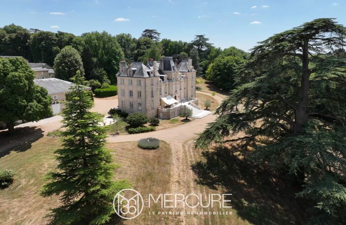 SUPERBE CHATEAU I.M.H. SUR 46 HECTARES — photo 3