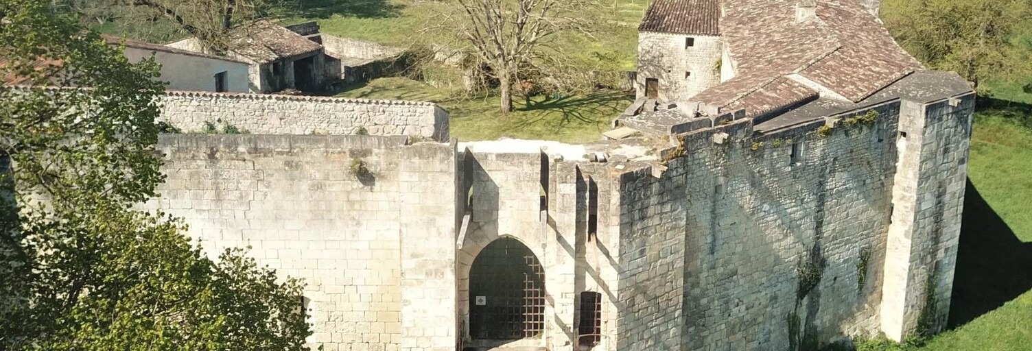 Maison 20 Pièces 600 m² à vendre à Saintes (17100)