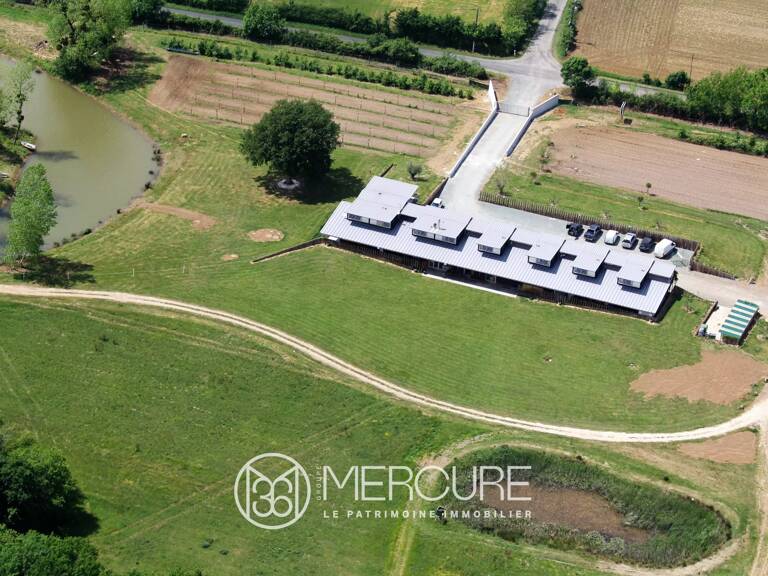 DOMAINE FORESTIER AVEC GITES — photo 1