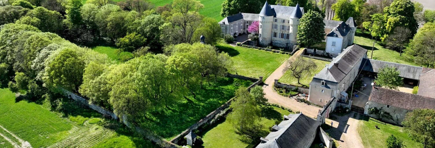 Maison 33 Pièces 1290 m² à vendre à La Celle-Saint-Avant (37160)