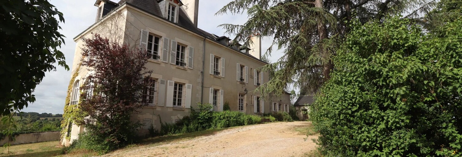Maison 15 Pièces 463 m² à vendre à Le Blanc (36300)