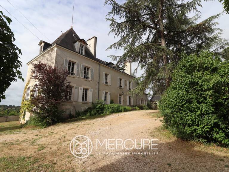 Château de caractère et domaine d'exception en Brenne — photo 1