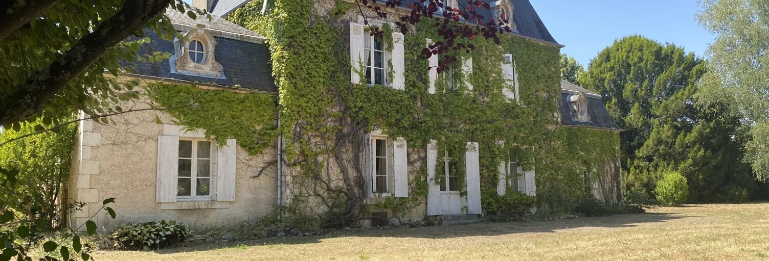 Maison 9 Pièces 322 m² à vendre à Montmorillon (86500)