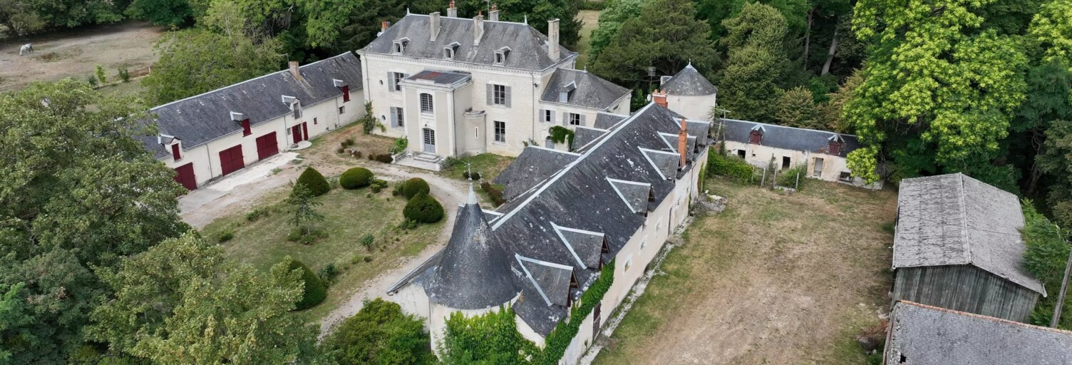 Maison 18 Pièces 540 m² à vendre à Le Blanc (36300)