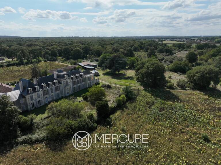 CHATEAU FIN RENAISSANCE sur 26 HA — photo 1