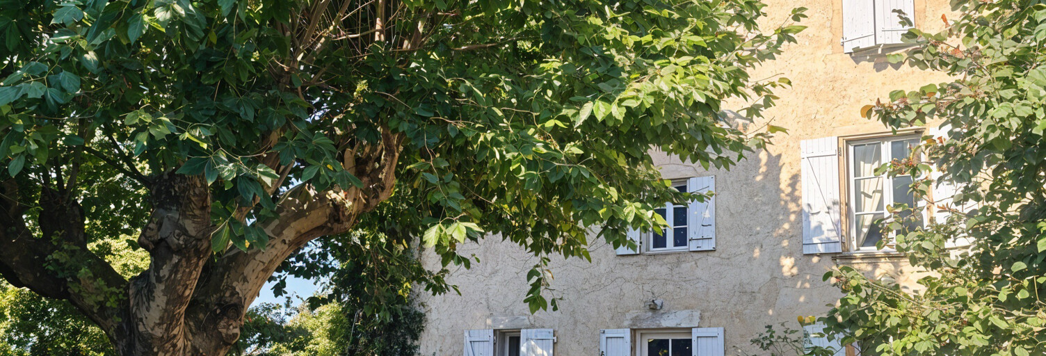 Maison 15 Pièces 280 m² à vendre à Primarette (38270)